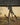 The BOG Deathgrip Tripod - Great For Hunting, OK for Long Range?