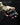 Kung Fu Grip finger groove and texture detail