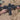 Magpul 30 round AR15 magazine product image